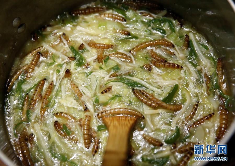 일본 식당, 곤충 맛있는 음식으로 변신